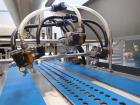 2009 Anko Spring Roll Production Line